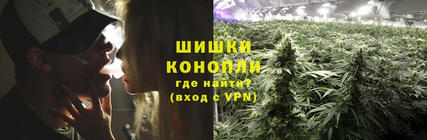 прущие грибы Белокуриха