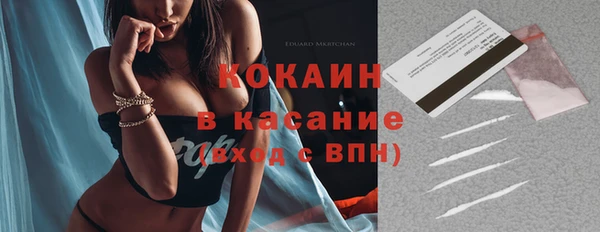 прущие грибы Белокуриха