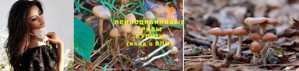 МДПВ Беломорск