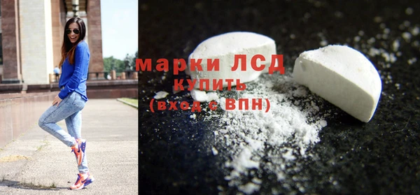 прущие грибы Белокуриха