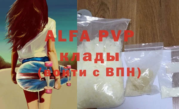 гидра Бородино