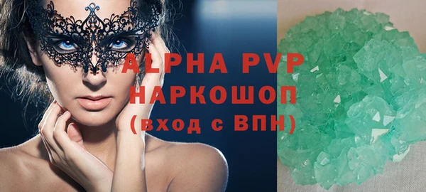 прущие грибы Белокуриха